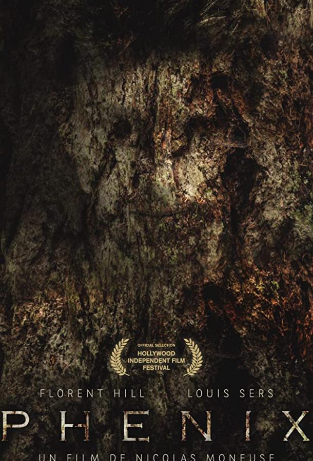 Феникс Феникс