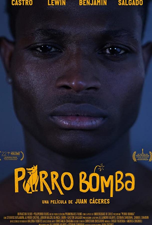 Собака-Бомба Собака-Бомба