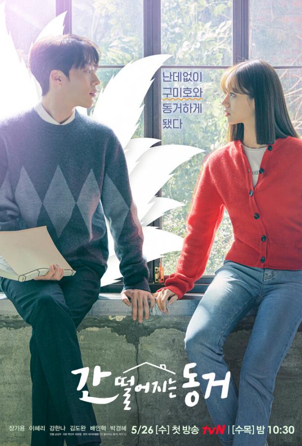 Мой сосед — кумихо / Пугающее сожительство Мой сосед — кумихо / Пугающее сожительство