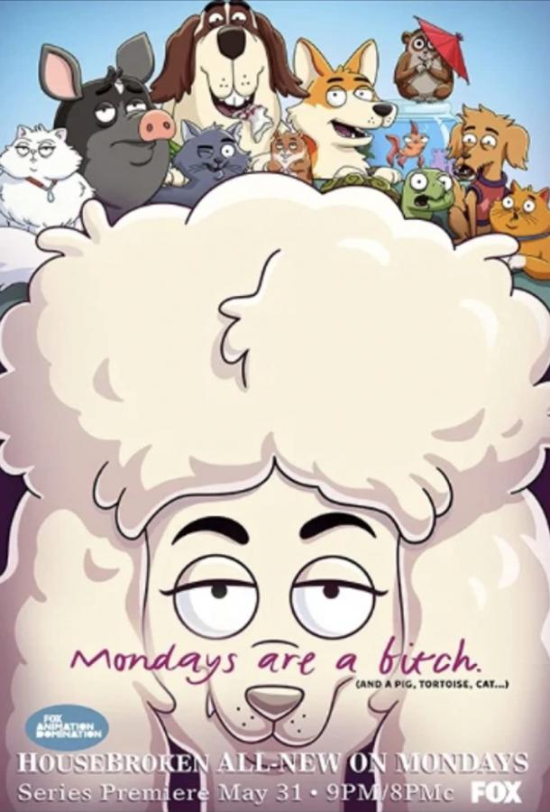 К лотку приучены К лотку приучены