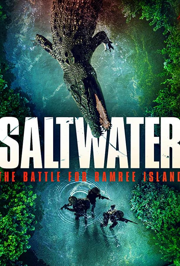 Битва за остров Рамри Битва за остров Рамри