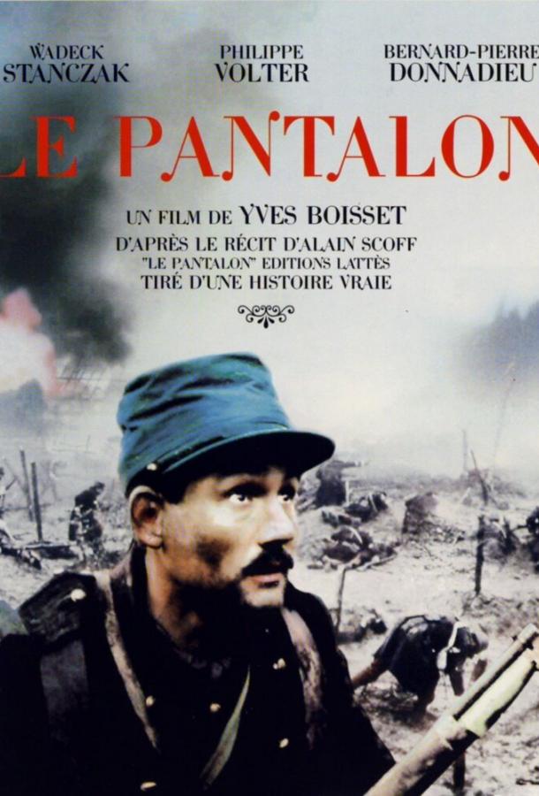 Штаны Штаны