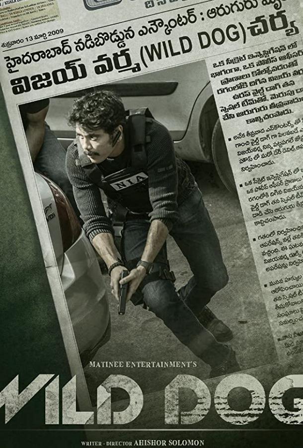 Дикий пёс Дикий пёс