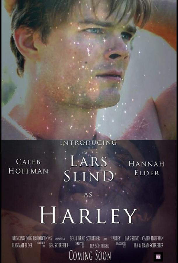 Харли Харли