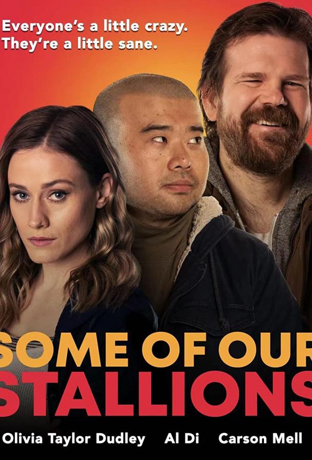 Кое-кто из наших жеребцов Кое-кто из наших жеребцов