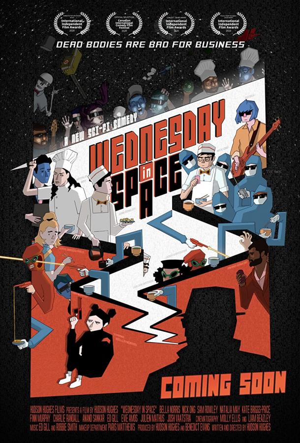 Космическая среда Космическая среда