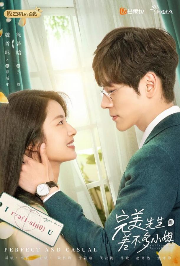 Мистер Совершенство и мисс Ничего особенного Мистер Совершенство и мисс Ничего особенного