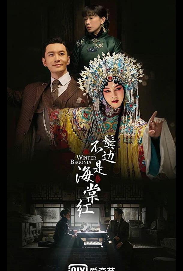 Зимняя бегония Зимняя бегония