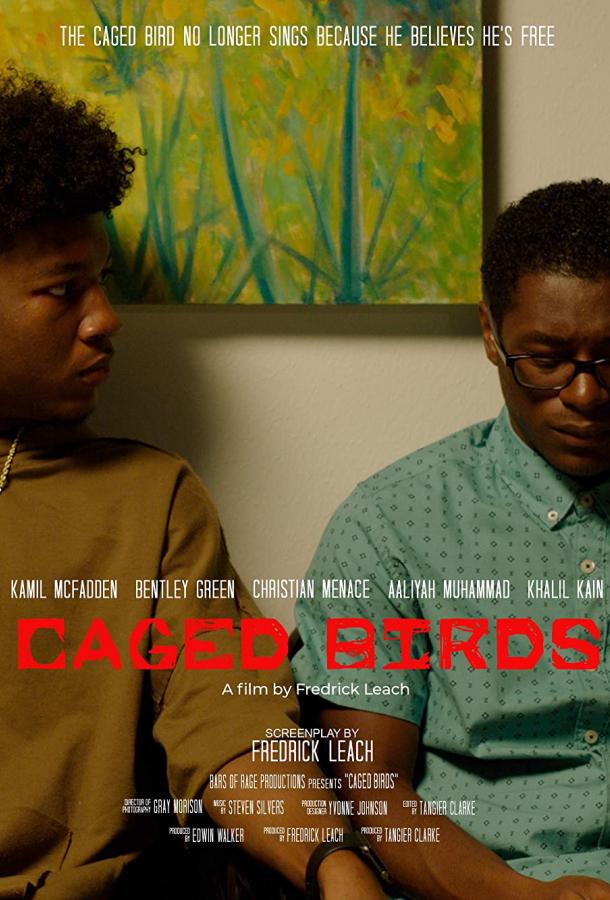 Птицы в неволе Птицы в неволе