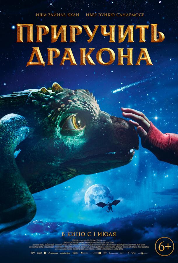 Приручить дракона Приручить дракона