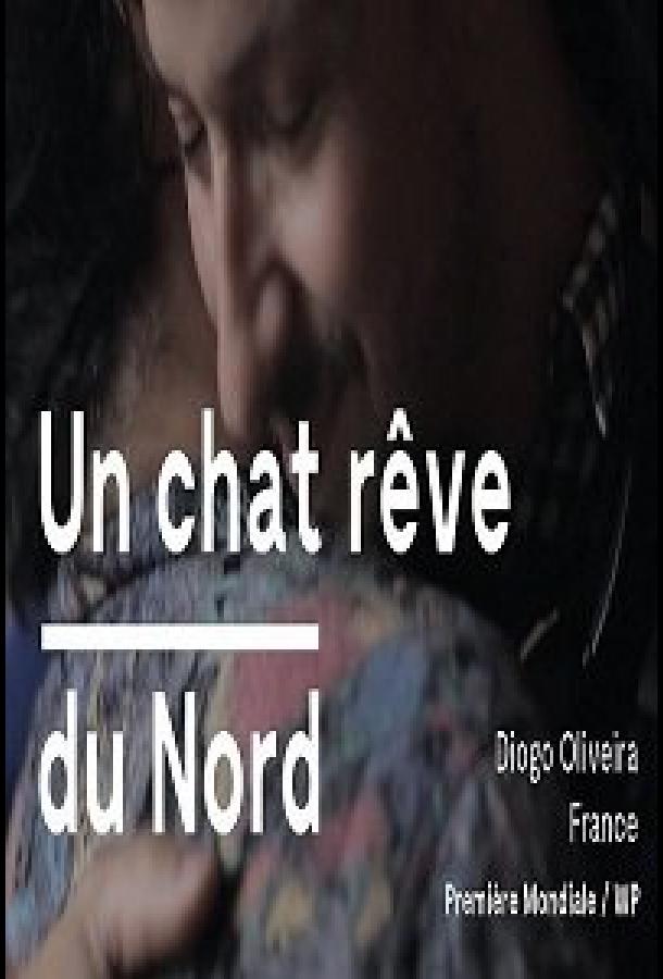 Кот, мечтающий о севере Кот, мечтающий о севере