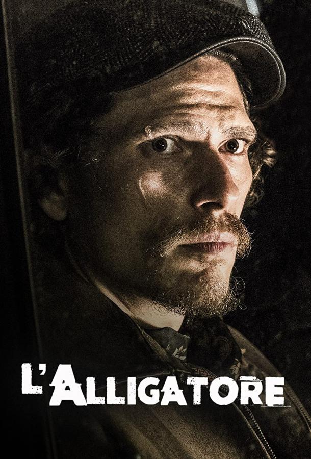 Аллигатор Аллигатор