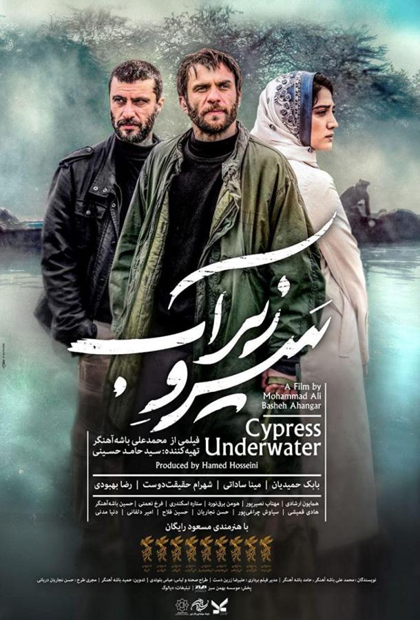 Кипарис под водой Кипарис под водой