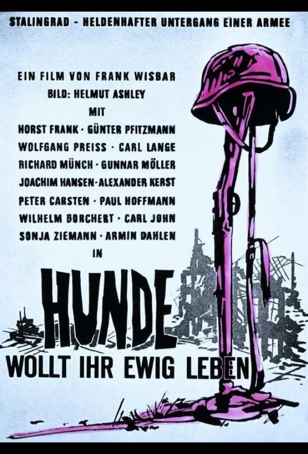 Собаки, хотите жить вечно? Собаки, хотите жить вечно?