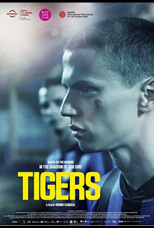 Тигры Тигры