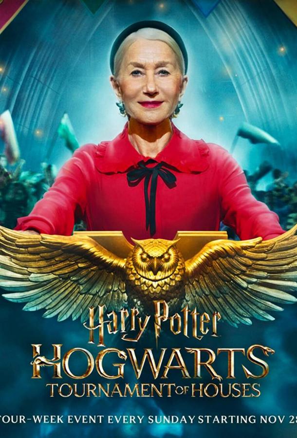 Гарри Поттер: Турнир факультетов Хогвартса Гарри Поттер: Турнир факультетов Хогвартса