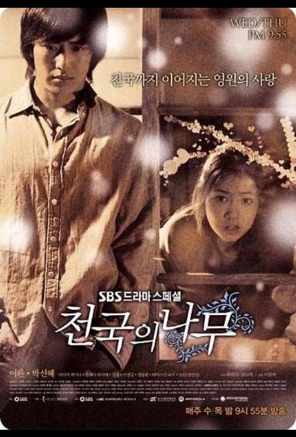 Райское дерево Райское дерево