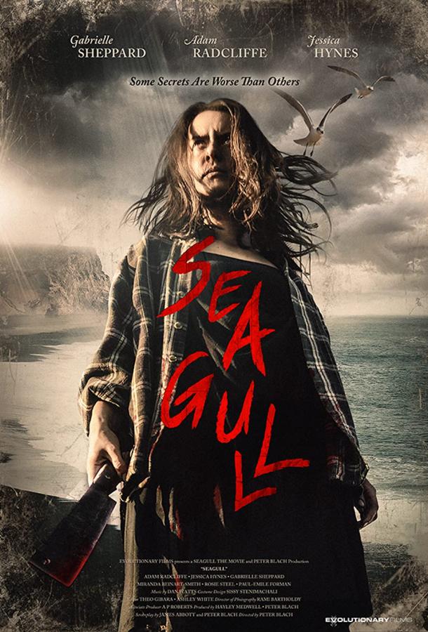 Чайка Чайка