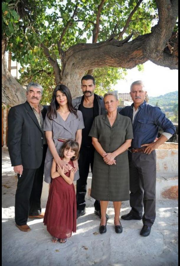 Город Город