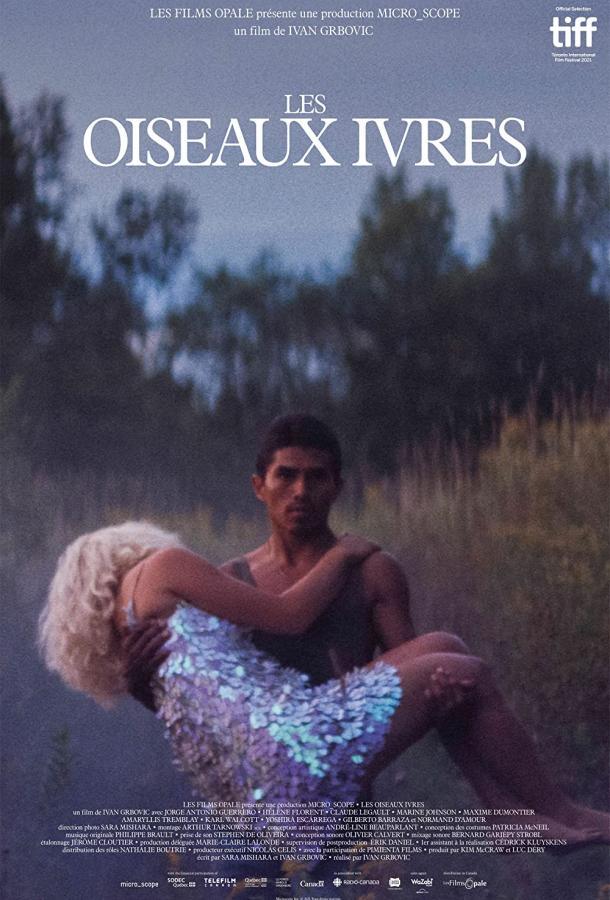 Пьяные пташки Пьяные пташки