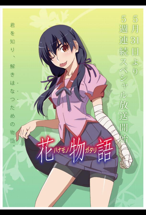 История цветов История цветов