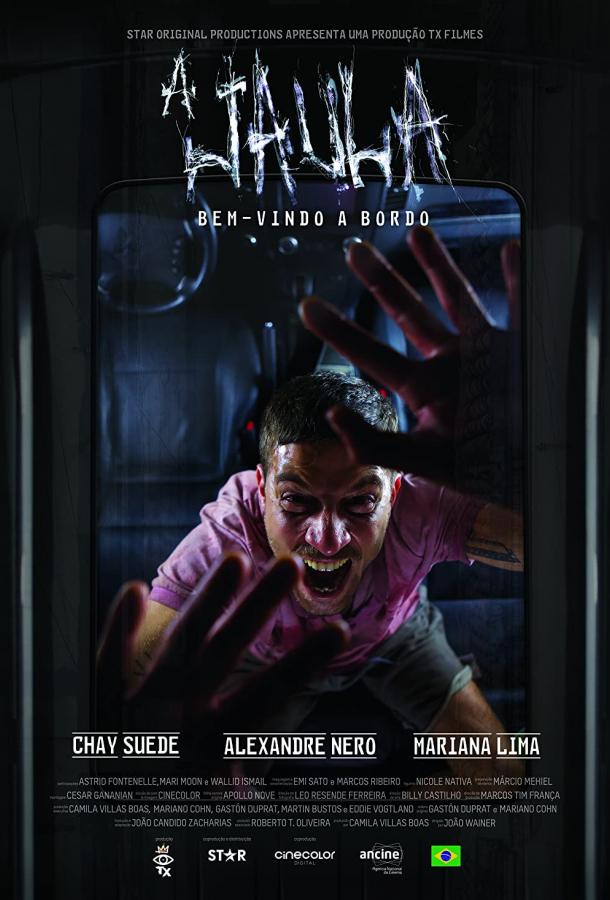 Клетка Клетка