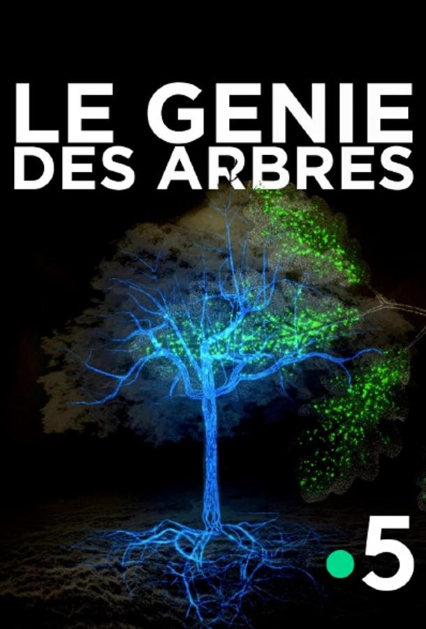 Деревья: гении мира природы Деревья: гении мира природы