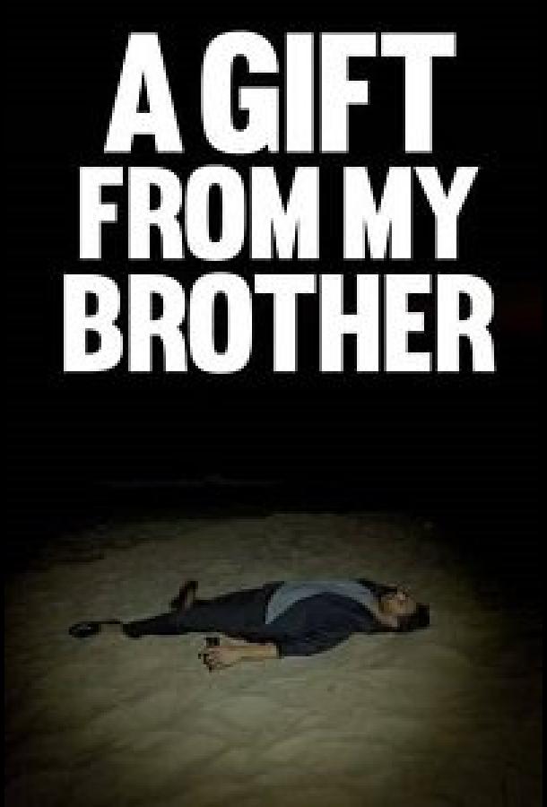 Подарок моего брата Подарок моего брата