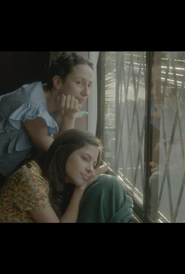 Аврора Аврора