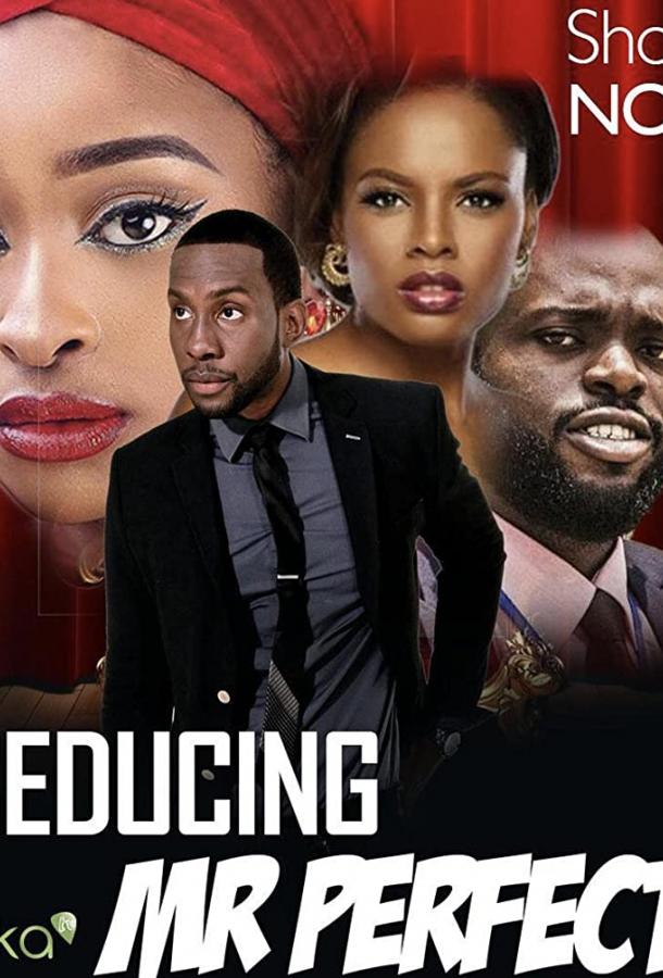 Соблазнить мистера Совершенство Соблазнить мистера Совершенство