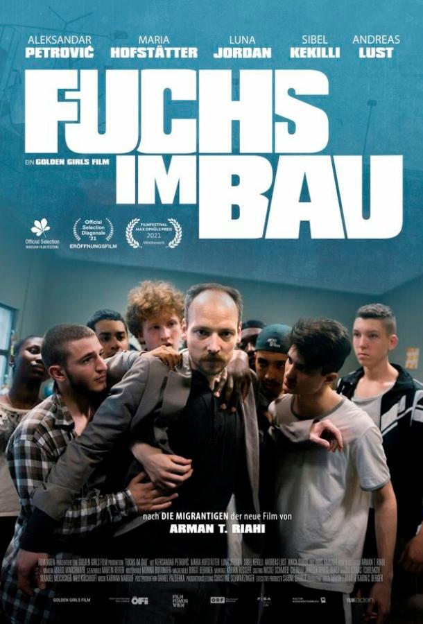 Лис в норе Лис в норе