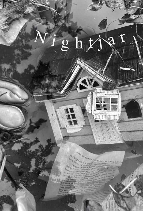 Козодой Козодой