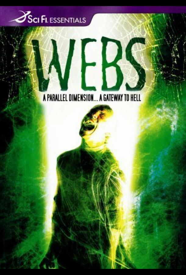 Паучьи сети Паучьи сети