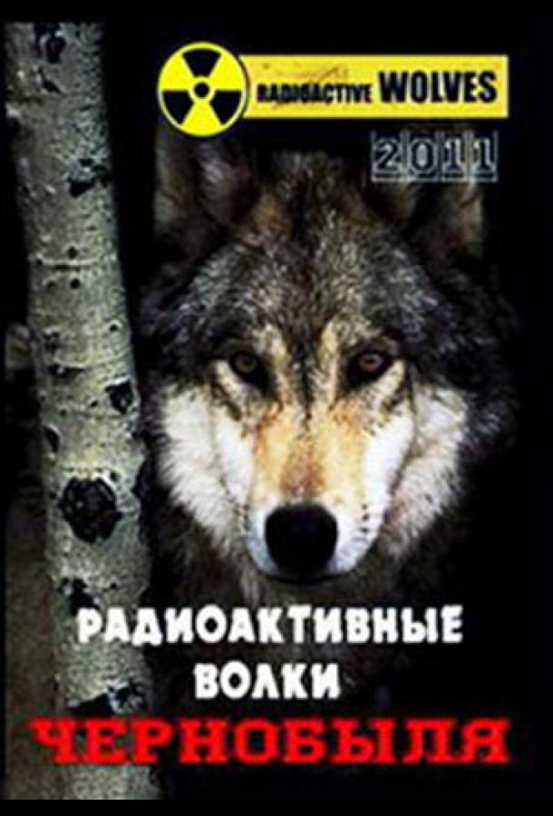 Радиоактивные волки Чернобыля Радиоактивные волки Чернобыля