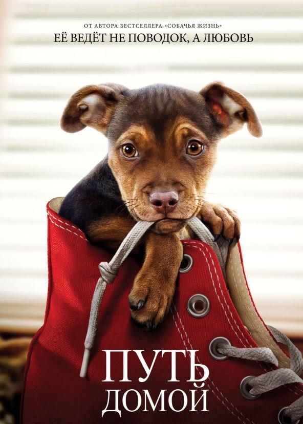 Путь домой Путь домой