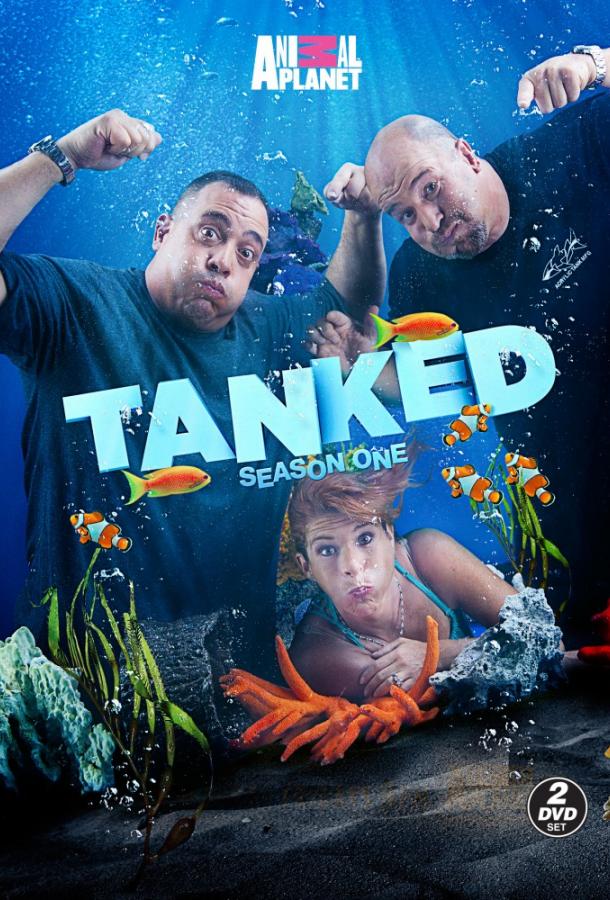 Аквариумный бизнес Аквариумный бизнес