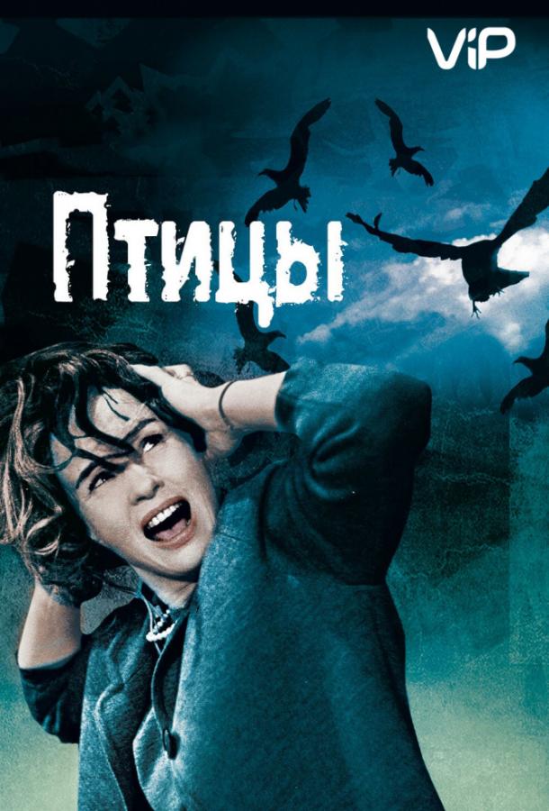 Птицы Птицы