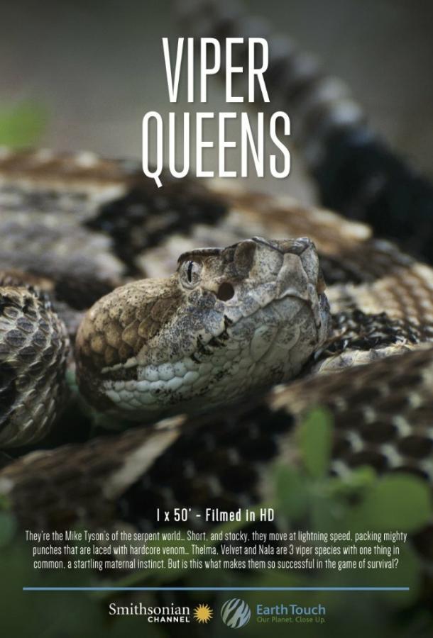 Королевы гадюк Королевы гадюк