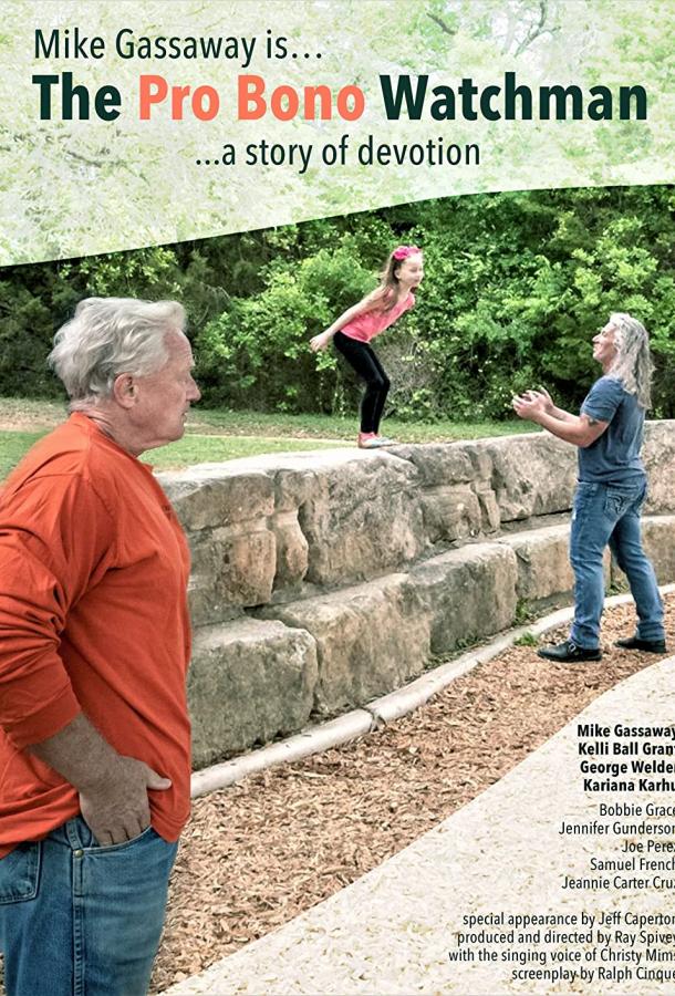 Добровольный наблюдатель Добровольный наблюдатель