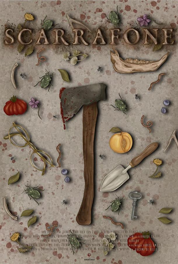 Таракан Таракан