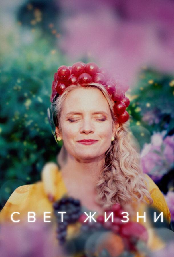 Свет жизни Свет жизни