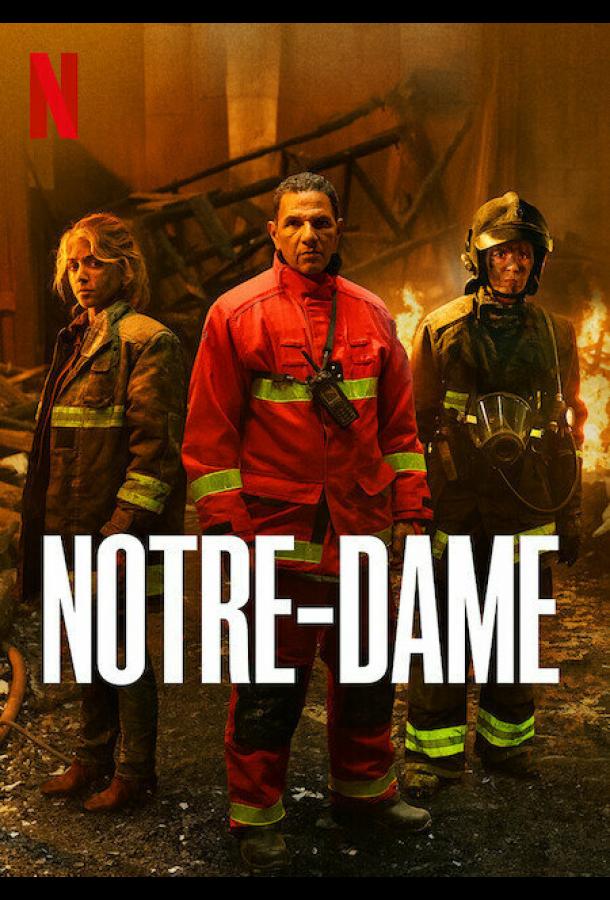 Нотр-Дам в огне Нотр-Дам в огне