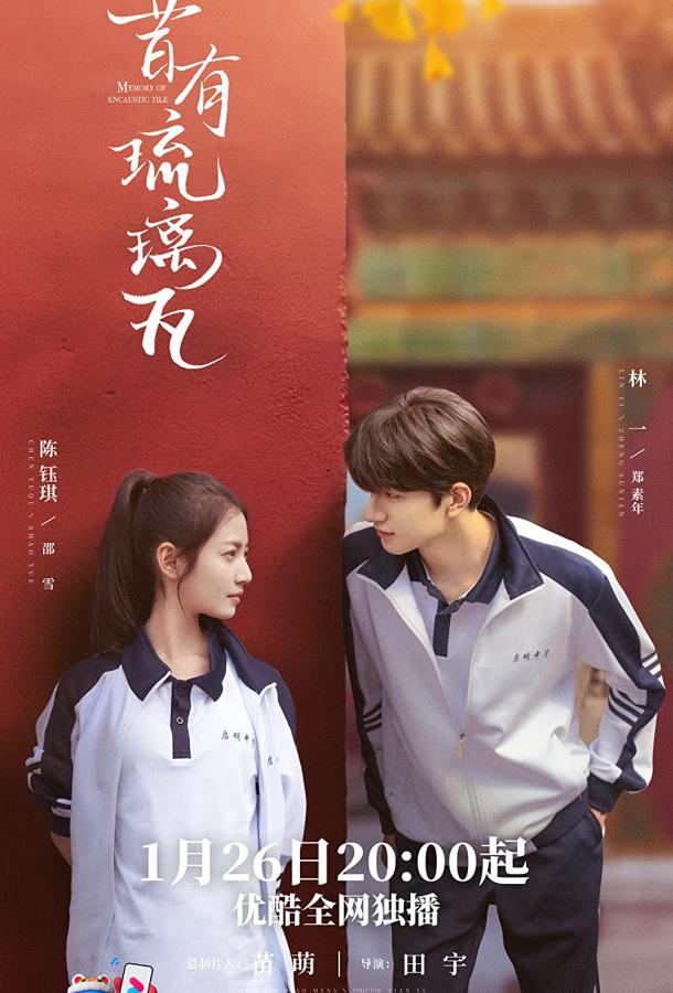 Глазурованная плитка Глазурованная плитка