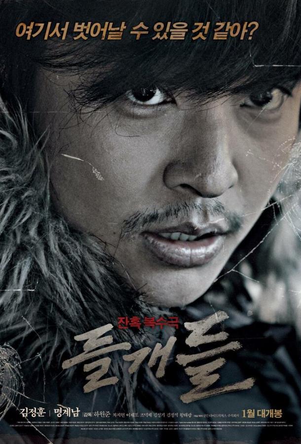 Дикие псы Дикие псы