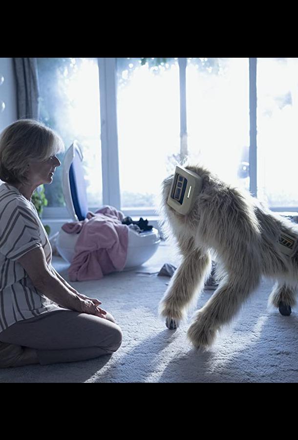 Обычные сбои Обычные сбои