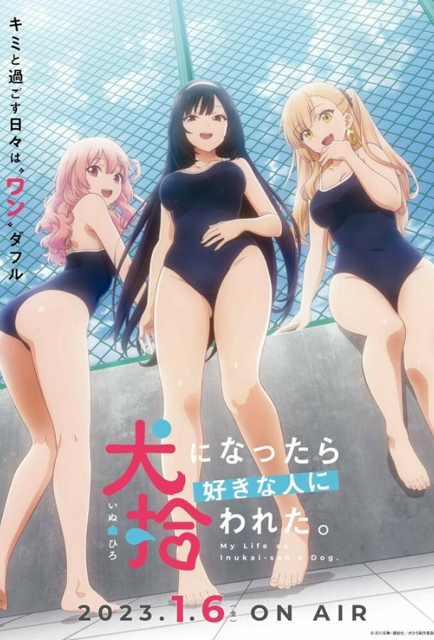 Стать любимой собачкой Стать любимой собачкой