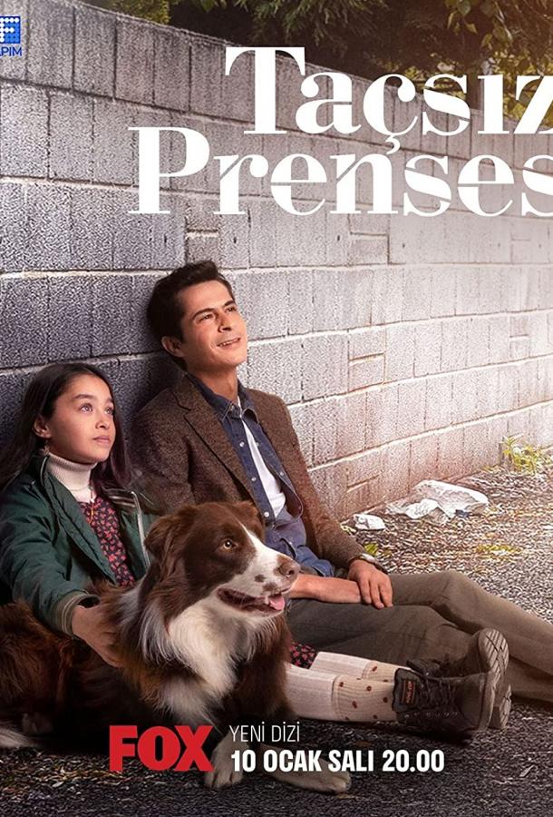 Принцесса без короны Принцесса без короны