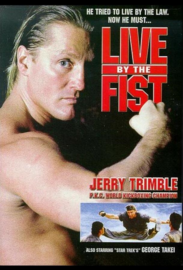 По закону кулака По закону кулака