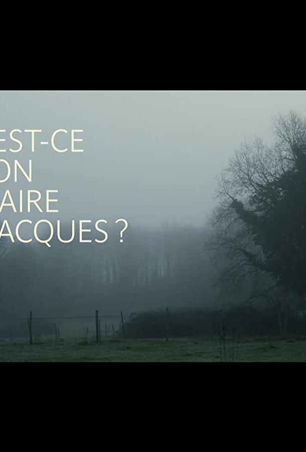 Что нам делать с Жаком? Что нам делать с Жаком?