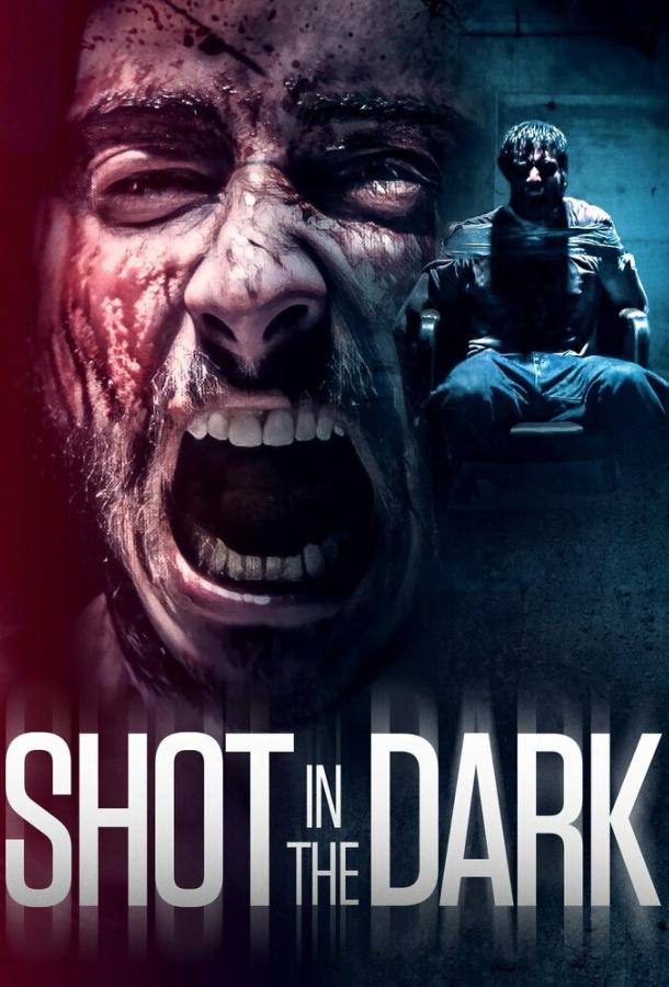 Выстрел в темноте Выстрел в темноте